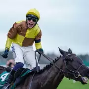 Paul Townend Backs Galopin Des Champs for Third Gold Cup Victory