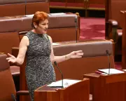 Pauline Hanson's One Nation Party Criticised as 'Stunt-Driven' in SA Election