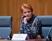 Pauline Hanson's Solar Rebate Sparks Hypocrisy Claims Amid Renewables Criticism