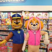 Paw Patrol Sand Art Kit Recalled Over Asbestos Contamination Fears