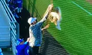 Pelican Rescue Halts College Baseball Game in California Stadium