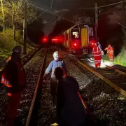 Penkridge Train Chaos: Passengers Evacuated Onto Tracks After Tree Collision