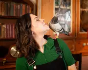 Penny the Pigeon: A Rescued Bird's Unbreakable Bond with Her Human