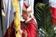 Pope Leo XIV Opens Holy Week with Palm Sunday Amid Francis Memories