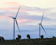 Power Prices Set to Drop Up to 10% on Australia's East Coast from July