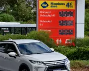 Pressure Mounts on Albanese Government Over Fuel Crisis as NZ Offers Relief