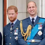Prince Harry's Australia Trip Sparks Hope for Royal Reconciliation with William