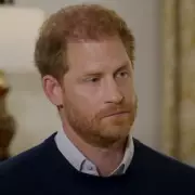 Prince Harry's Fury Over Brand Audit Revealing Spare and Netflix Hurt His Image