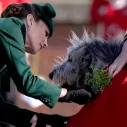 Princess of Wales Celebrates St Patrick's Day with Irish Guards and Mascot