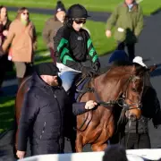 Punter's Dream Vision Predicts 7-1 Cheltenham Winner After 50-1 Triumph