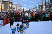 Reality TV Star Jessie Holmes Wins Second Consecutive Iditarod Sled Dog Race
