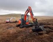 Restoring Britain's Peatlands: A Vital Climate Effort on Dartmoor