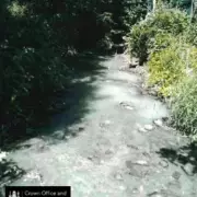 Sausage Casing Firm Fined £48,000 for Dumping 1.8 Million Litres of Waste into Scottish Stream