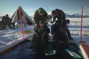 Scientists Train for Polar Ice Dives as Climate Change Accelerates