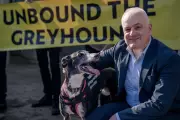 Scotland Bans Greyhound Racing Following Wales in Historic Animal Welfare Move