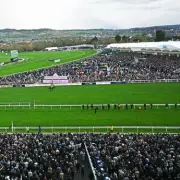 Second Horse Dies at Cheltenham Festival on Gold Cup Day, Saint Le Fort Euthanised