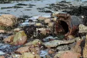 Sewage Spills Top 1.87 Million Hours in 2025 Despite Drier Weather Conditions