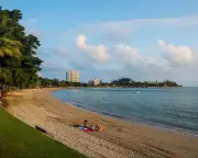 Shark Cull in New Caledonia Sparks Legal Battle and Public Outcry