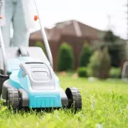 Shed Expert Urges Lawnmower Check Now Before Spring Arrives