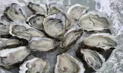 Shellfish Recall Across Nine States Due to Norovirus Contamination Risk