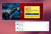 SkyBet's 60/1 Cheltenham Offer on Lulamba in Arkle Chase