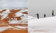 Snowfall Transforms Sahara Desert Dunes White in Rare Weather Phenomenon