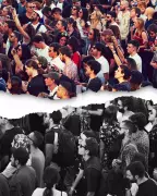 Social Cohesion Loses Its Feel-Good Vibe in Modern Society