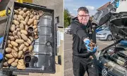 Squirrels Stash Hundreds of Acorns in Car Engines, Causing Power Loss