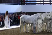 Stella McCartney's Paris Show: Horses Lead Sustainable Fashion Manifesto