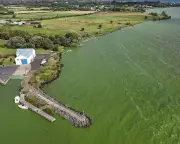 Superbug Genes Found in Lough Neagh, Threatening UK's Largest Lake