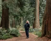 Suzanne Simard's New Book Champions Forest Resilience and Scientific Legacy