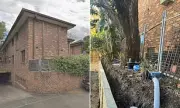 Sydney's Wealthy Suburb Tree Dispute Ends in Court Ruling for Homeowners