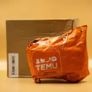 Temu's £160 Sofa Bed Underbids B&Q's £203 Version by Over £40