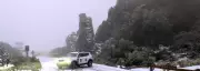 Tenerife Declares Emergency as Storm Therese Hits, UK Tourists Urged Caution