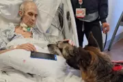 Terminally Ill Man's Final Farewell to German Shepherds Moves Hospital Staff to Tears