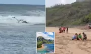 Three Dead in Hawaii Tourist Helicopter Crash Off Kauai Coast