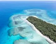 Tonga's PM Welcomes US Deep-Sea Mining Deal Amid Environmental Fears