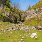 Troller's Gill: Yorkshire's Haunted Ravine Where Legendary Demon Dog Roams
