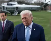 Trump Criticises Allies for Not Sending Warships to Gulf Amid Fuel Crisis