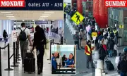 TSA Backpay Ends Airport Chaos as Security Lines Shrink Dramatically