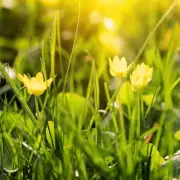 UK Clocks Spring Forward This Weekend: Exact Time Change Details