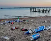 UK Councils Fail to Enforce Littering Fines, Allowing 'Eco-Anarchy'