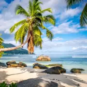 UK Holidaymakers Alerted to High Virus Risk in Seychelles Paradise