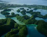 UK Slashes Climate Aid for Developing Nations, Undermining Nature Protection