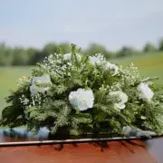 UK's First 'Boil-in-the-Bag' Eco Funerals Approved in Scotland