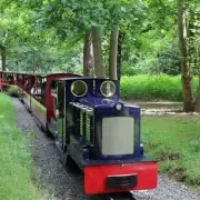 UK's First Electric Steam Train to Launch at Historic Essex Heritage Railway