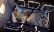United Airlines Unveils Economy Sofa Seats for Long-Haul Flights in 2027
