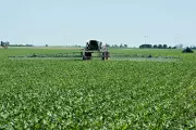 US Farmers Struggle as Iran War Drives Fertilizer Costs to Unsustainable Levels