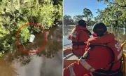 Vehicle Found in Search for Missing Chinese Tourists Amid Queensland Flood Crisis