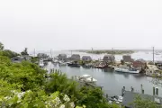 Verizon Sues Scenic Chilmark Over Cell Tower Dispute on Martha's Vineyard